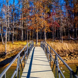 Store Georgia DSC 0626