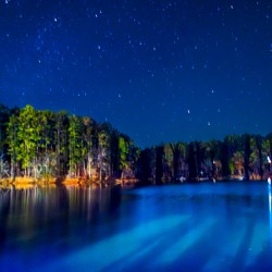 Store Georgia DSC 0711