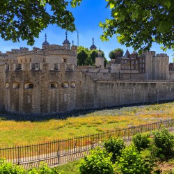 Store London 5L3A1276