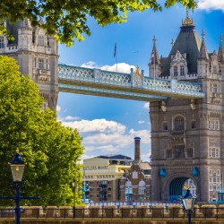 Store London 5L3A1357