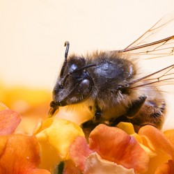 Store Macro 2024 06 16