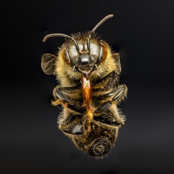 Store Macro 5L3A2811