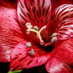 Store Macro 5L3A3569