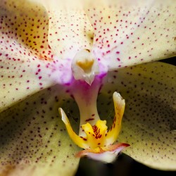 Store Macro 5L3A3617