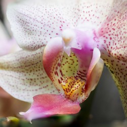 Store Macro 5L3A3626