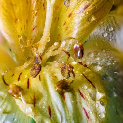 Store Macro 5L3A3699