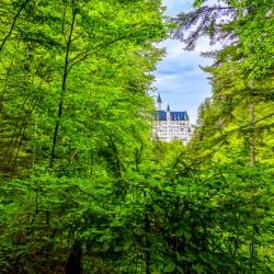 Store Munich  5L3A4085 Edit