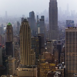 Store New York 5L3A0208