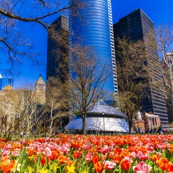 Store New York 5L3A0337