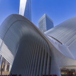 Store New York 5L3A0359