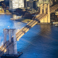 Store New York 5L3A0419