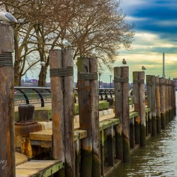 Store New York DSC 3979