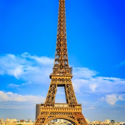 Store Paris 5L3A2222