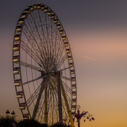 Store Paris 5L3A2827