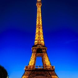 Store Paris 5L3A2857