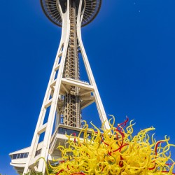 Store Seattle 5L3A7143