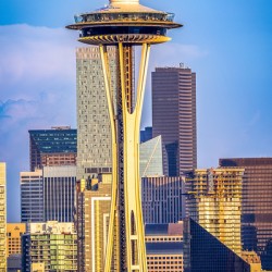 Store Seattle 5L3A7172