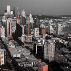 Store Seattle 5L3A7223