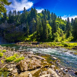 Store Seattle 5L3A7325