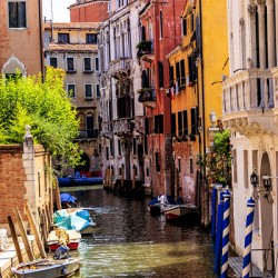 Store Venice 5L3A4513