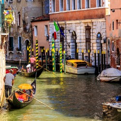 Store Venice 5L3A4518