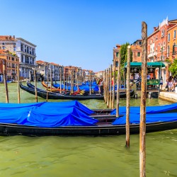 Store Venice 5L3A4531 Edit Edit