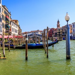 Store Venice 5L3A4535