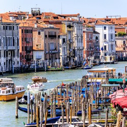 Store Venice 5L3A4549