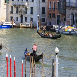 Store Venice 5L3A4557