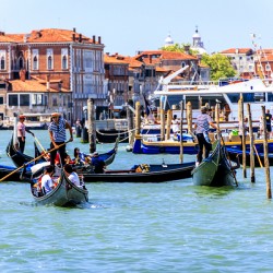 Store Venice 5L3A4647