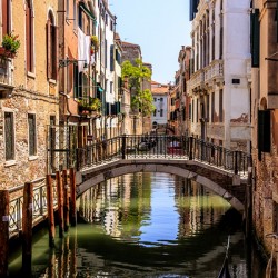 Store Venice 5L3A4665