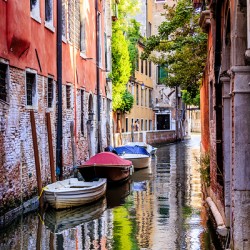 Store Venice 5L3A4755