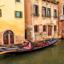 Store Venice 5L3A4766