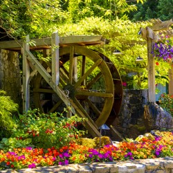 Store Victoria 5L3A8494