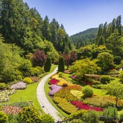 Store Victoria 5L3A8505