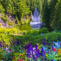 Store Victoria 5L3A8550