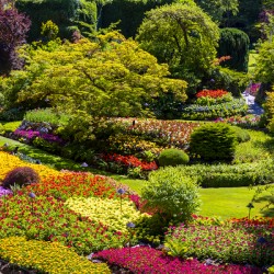 Store Victoria 5L3A8632