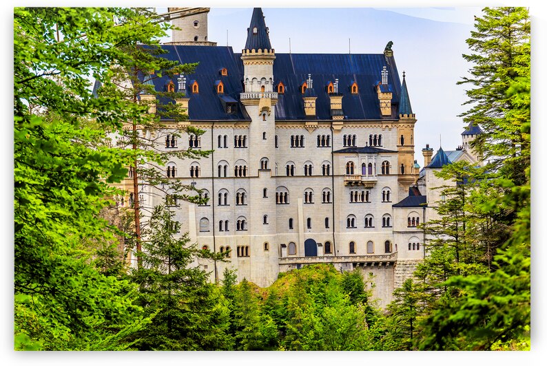 Munich Neuschwanstein Castle 2 by Tono Chavez