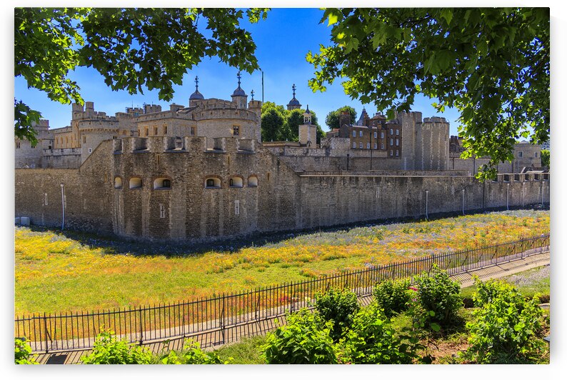 Store London 5L3A1276 by Tono Chavez