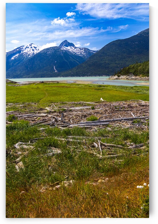 Store Alaska5L3A8128 by Tono Chavez