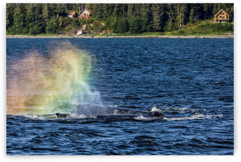 Store Alaska5L3A7628 by Tono Chavez