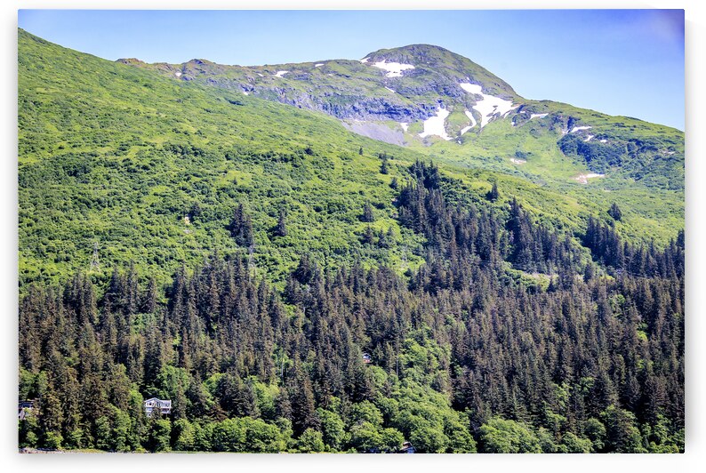 Store Alaska5L3A7439 by Tono Chavez