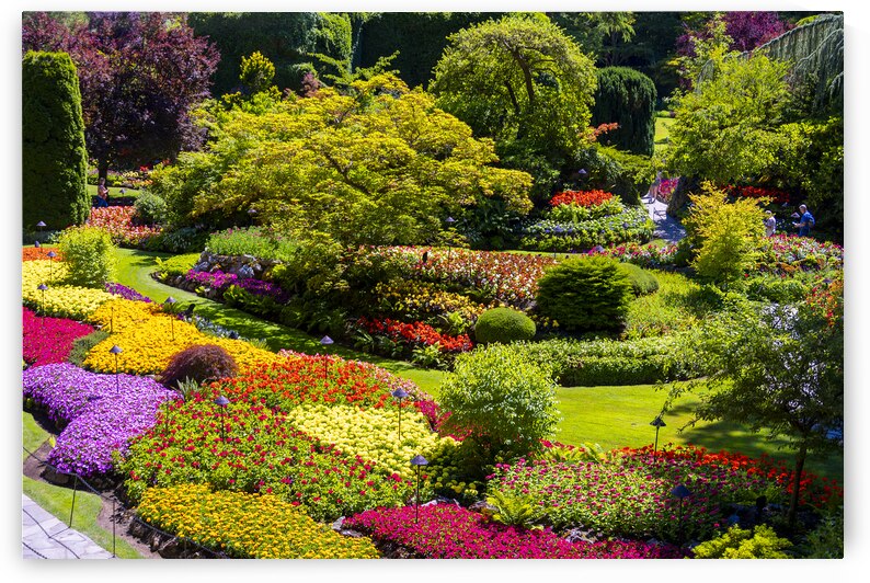 Store Victoria 5L3A8632 by Tono Chavez