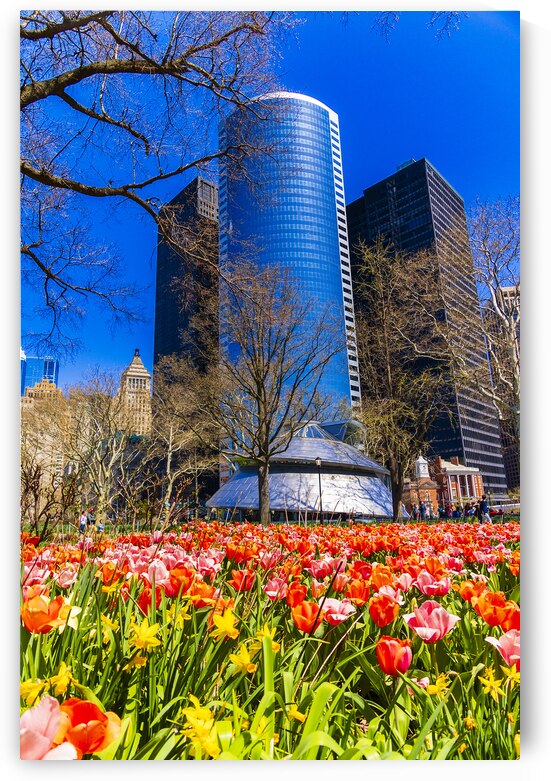 Store New York 5L3A0337 by Tono Chavez