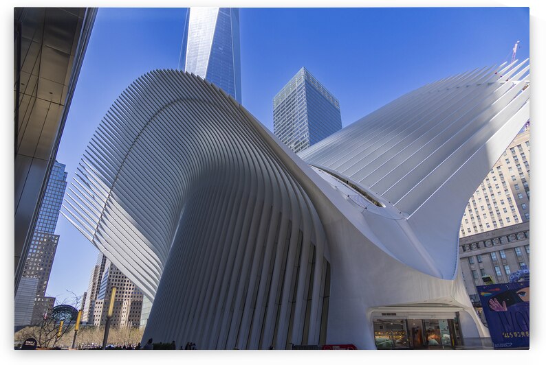 Store New York 5L3A0359 by Tono Chavez