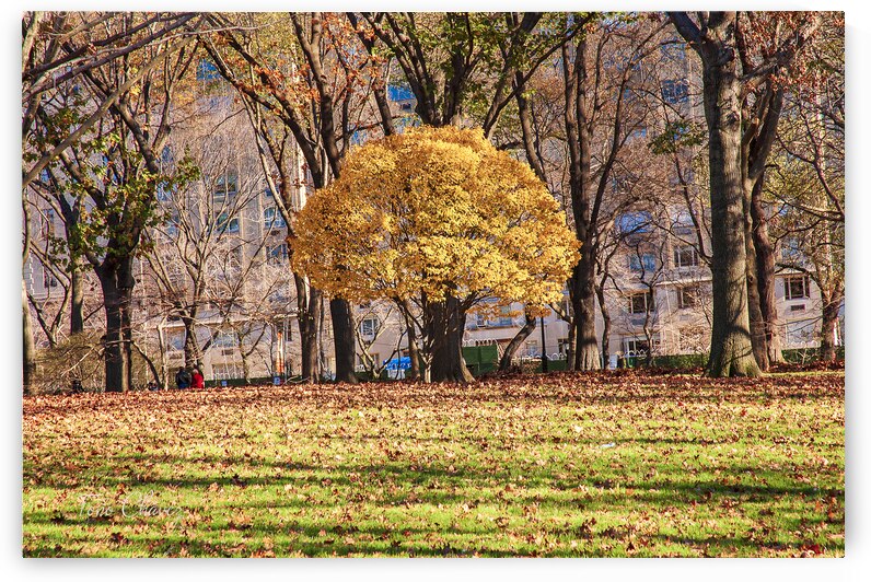 Store New York DSC 4114 by Tono Chavez