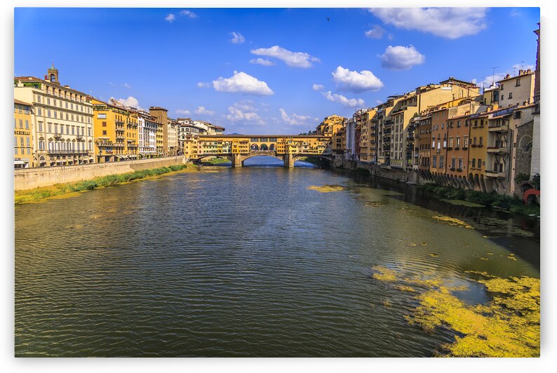 Store Florence 5L3A4931 by Tono Chavez