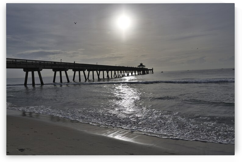 Store Florida 5L3A6591 by Tono Chavez