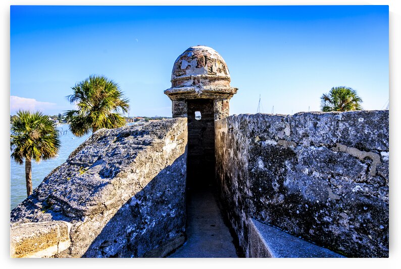 Store Florida 5L3A9392 by Tono Chavez