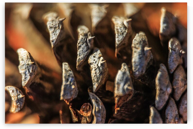 Store Georgia 5L3A0127 by Tono Chavez